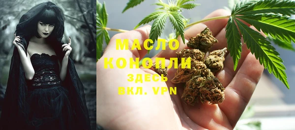тгк Абинск
