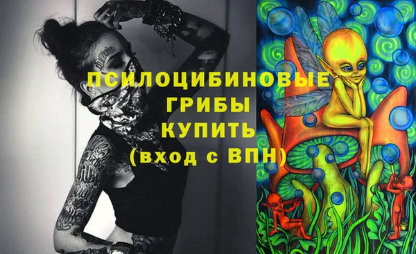 PSILOCYBIN Абдулино