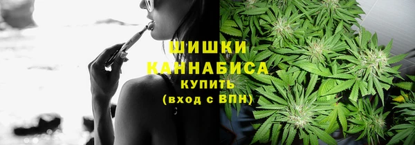 PSILOCYBIN Абдулино