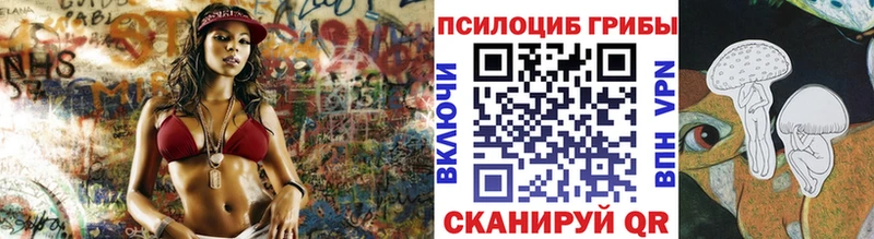 Галлюциногенные грибы Cubensis  купить наркотик  МЕГА   Шилка 
